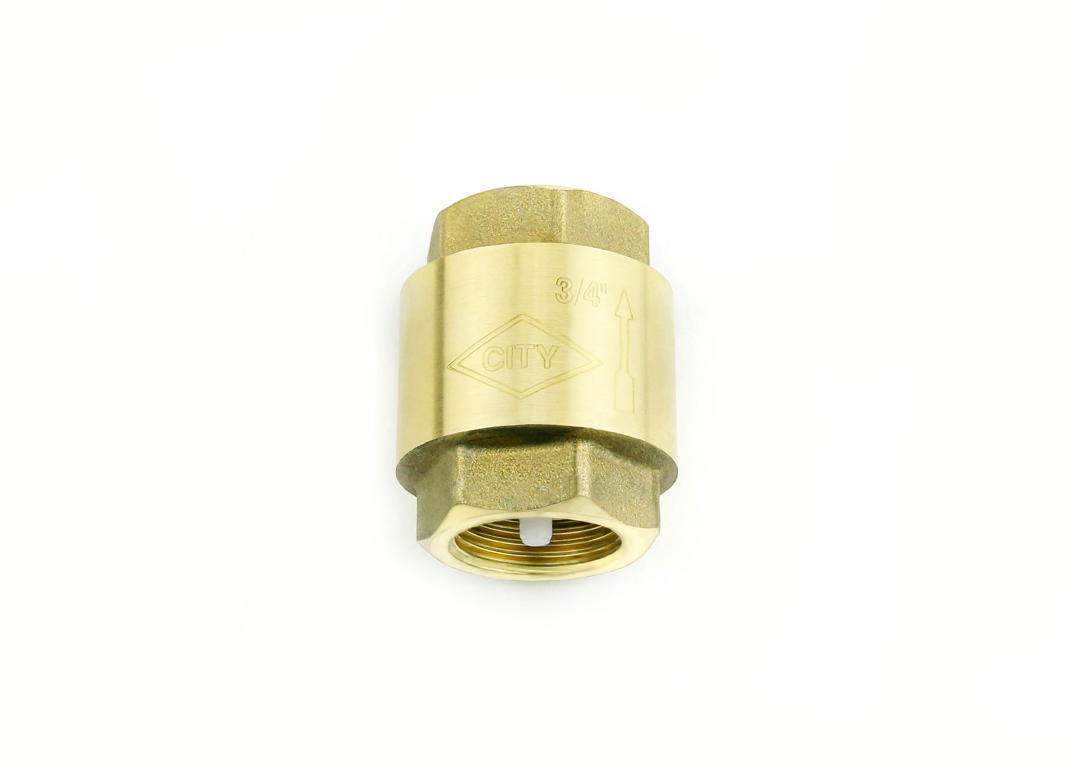 Check Valve